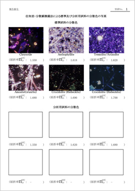 報告書サンプル